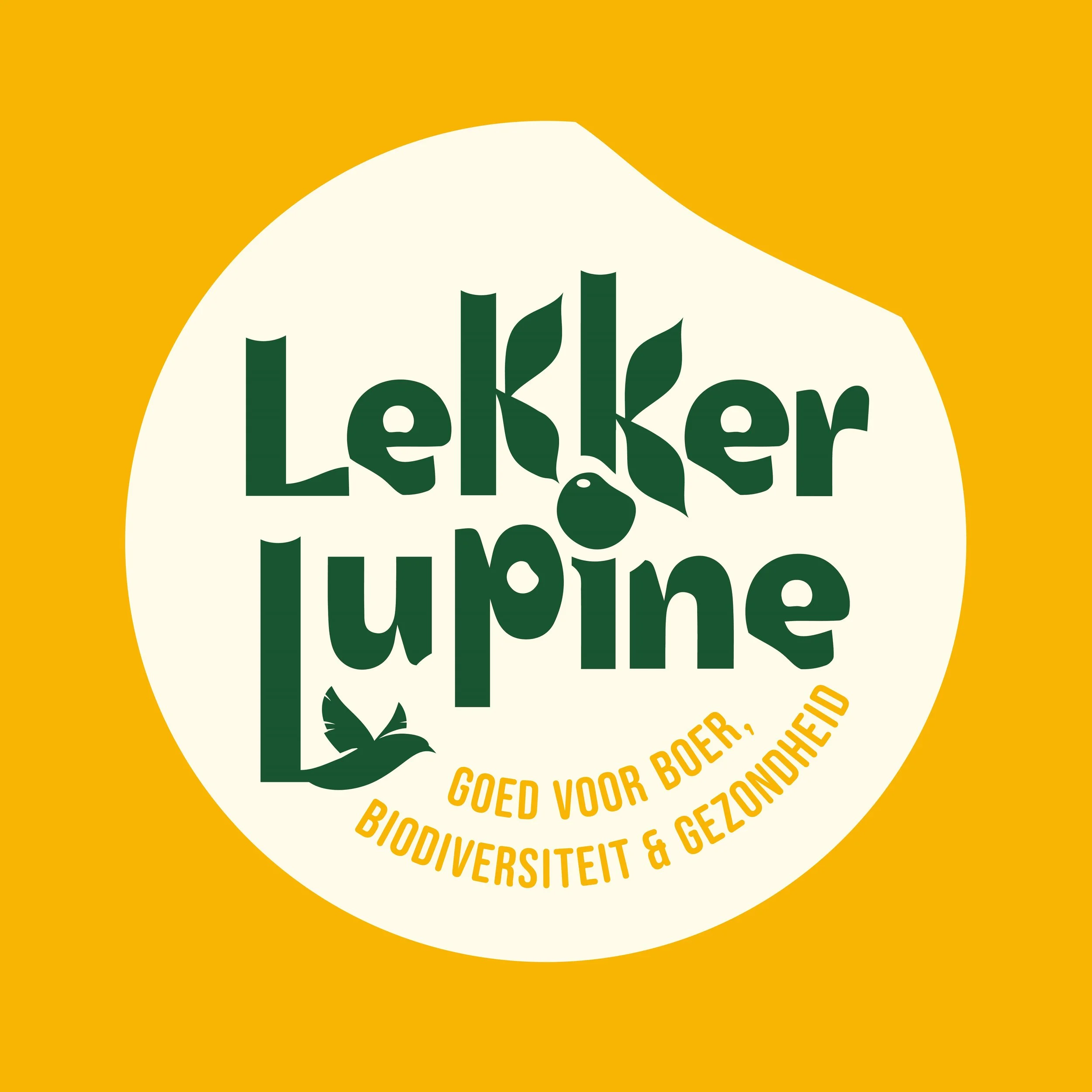 Lekker Lupine